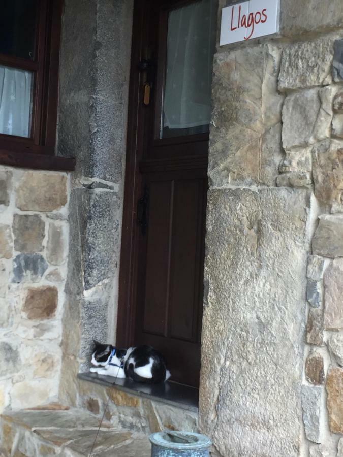 La Xamoca Apartamentos Rurales Campiellos Exterior foto